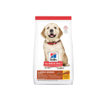 Large breed puppy